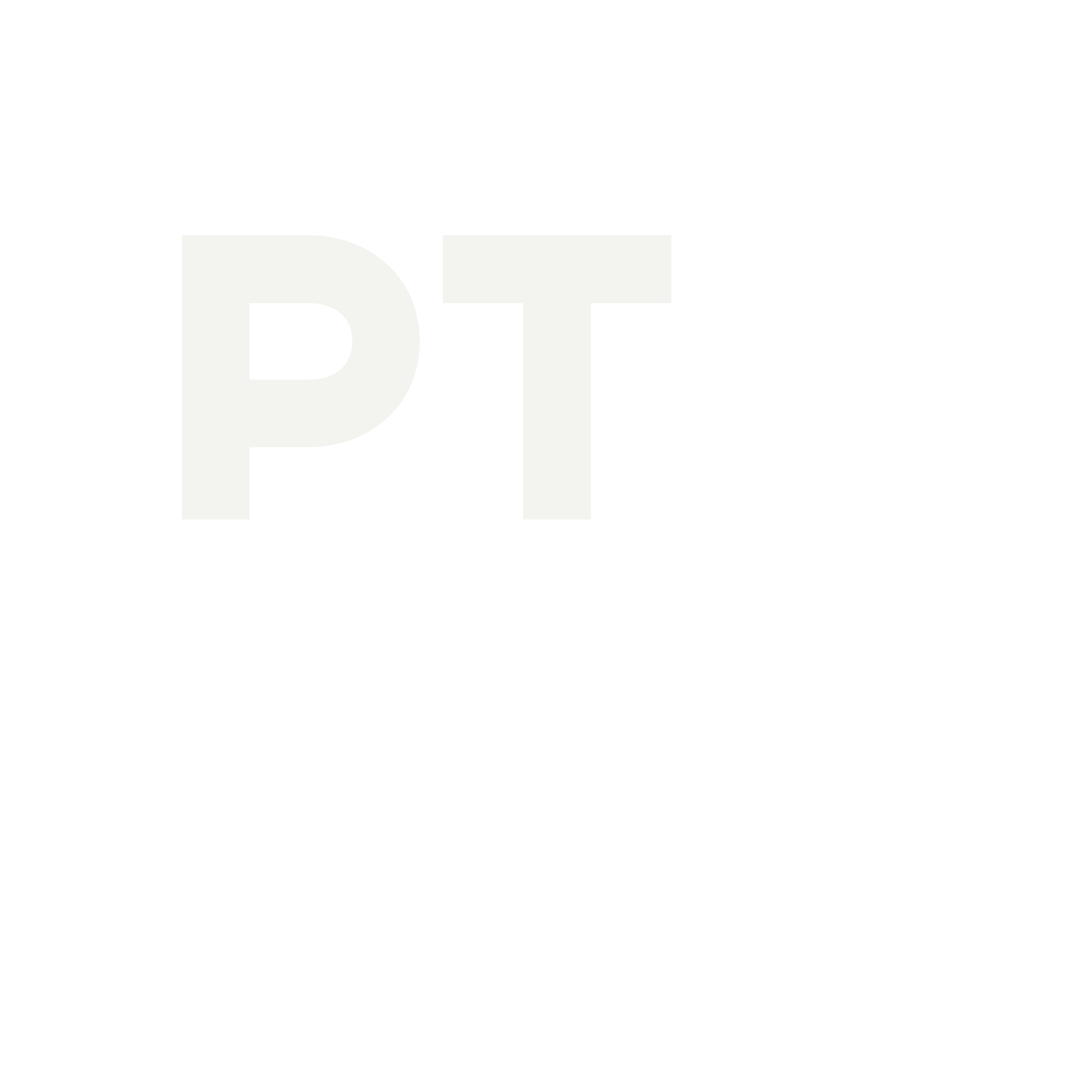 Palmtree Custom Shop 